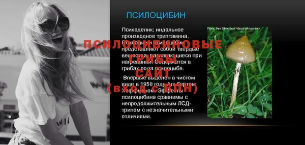 не бодяженный Ладушкин