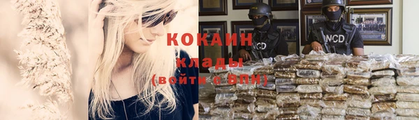 не бодяженный Ладушкин