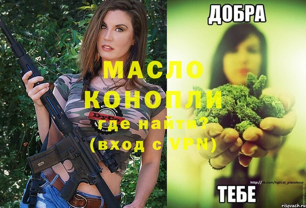 дмт Лиски