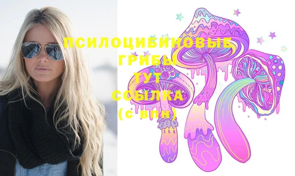 дмт Лиски