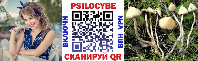 Псилоцибиновые грибы Magic Shrooms  Купить где  Ялта 