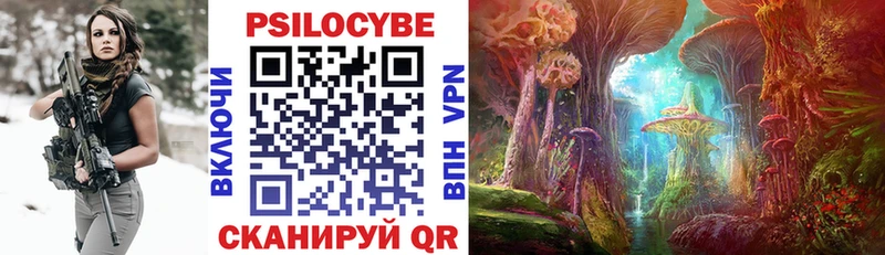 Псилоцибиновые грибы Psilocybe Ялта